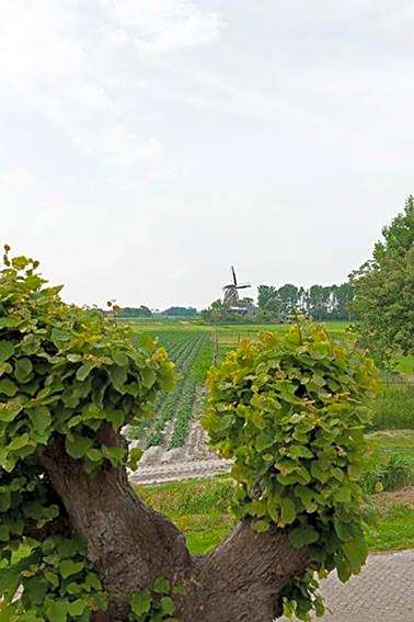 Bed and Breakfast Lauwersstate