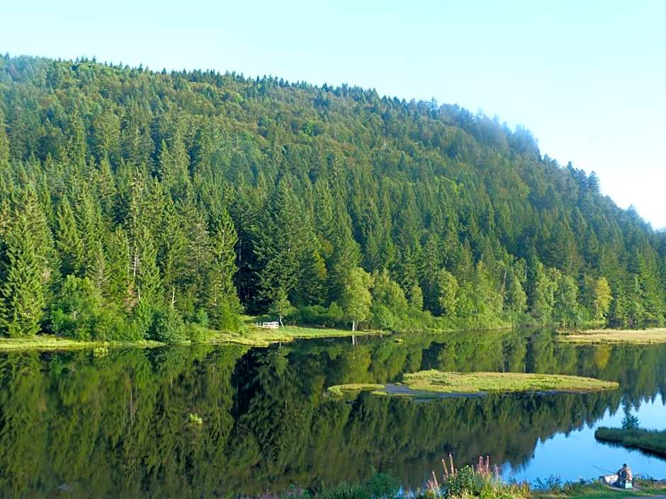 Domaine Des Hauts Viaux