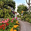 Villa Panoramica - Ischia Ponte