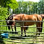 Landgoedhoeve Vosbergen