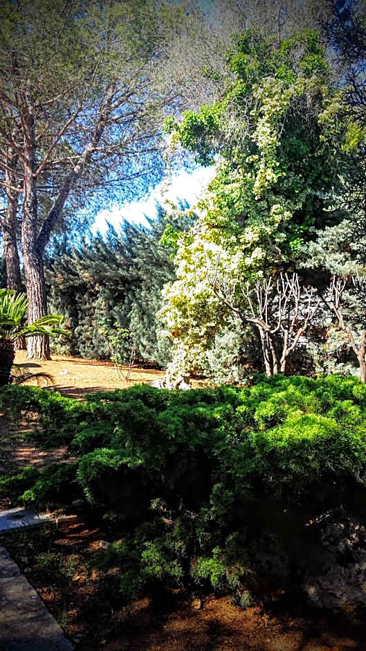 Bed and Breakfast La Villa AMBIENTI SANIFICATI CON GENERATORE DI OZONO