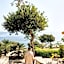 Agali Hotel Paxos