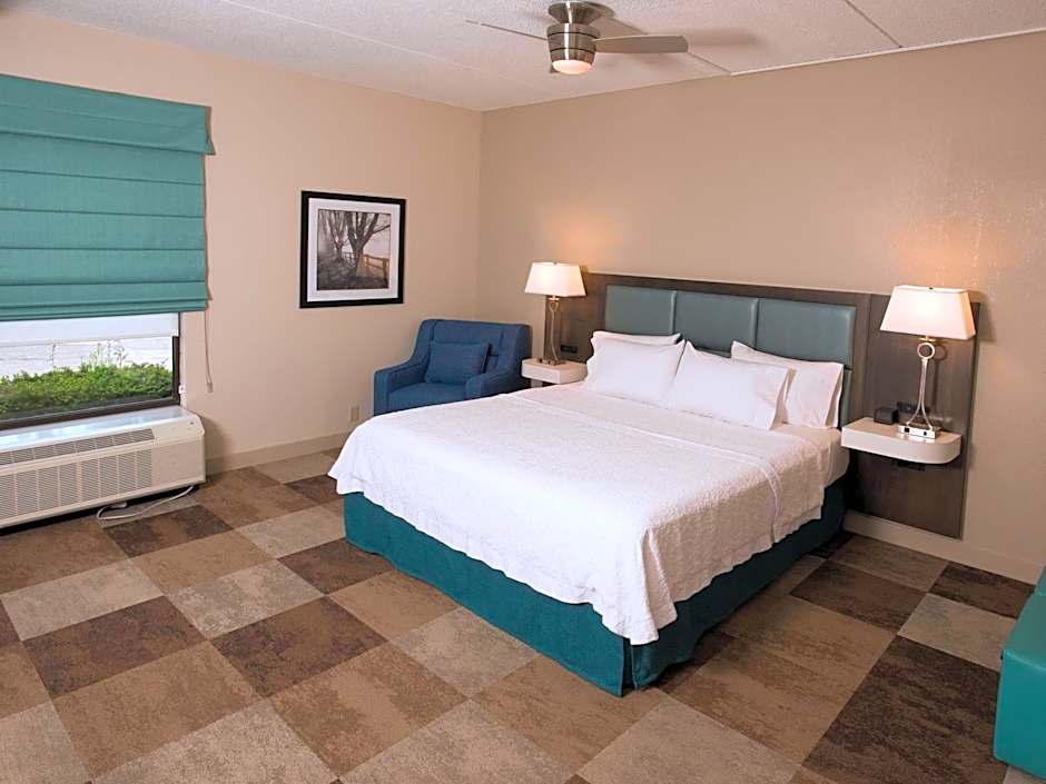 Photo 1 of 7 of 1 Bedroom 1 King Bed with Sofabed Suite