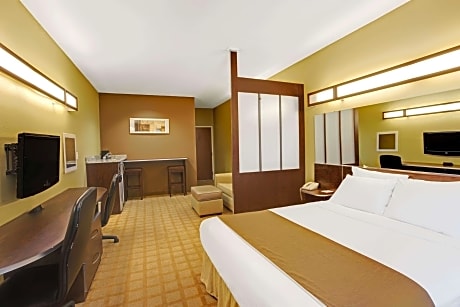 1 Queen Bed Mobility/Hearing Impaired Accessible Suite Non-Smoking