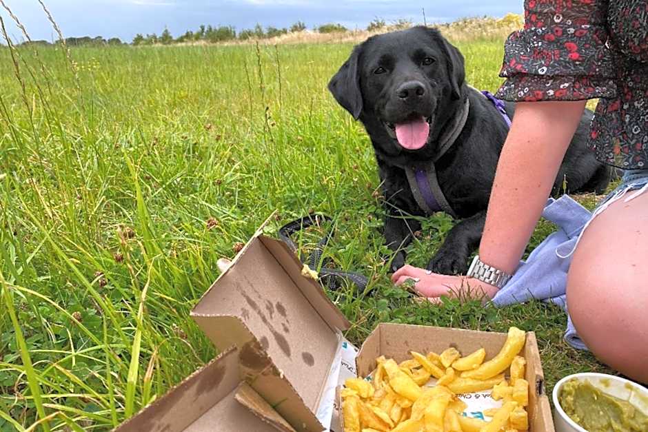Norfolk Farm Stays by Beach Dog Friendly