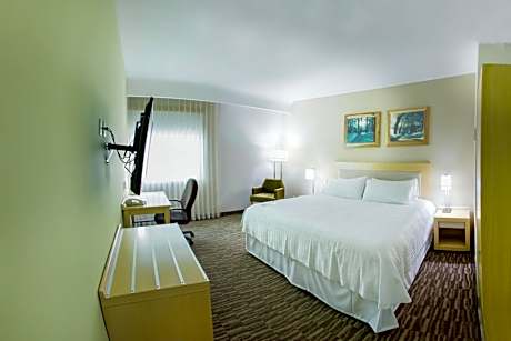 King Room with Roll-In Shower - Disability Access