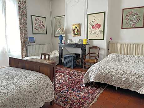 Les Asphodèles Amélie