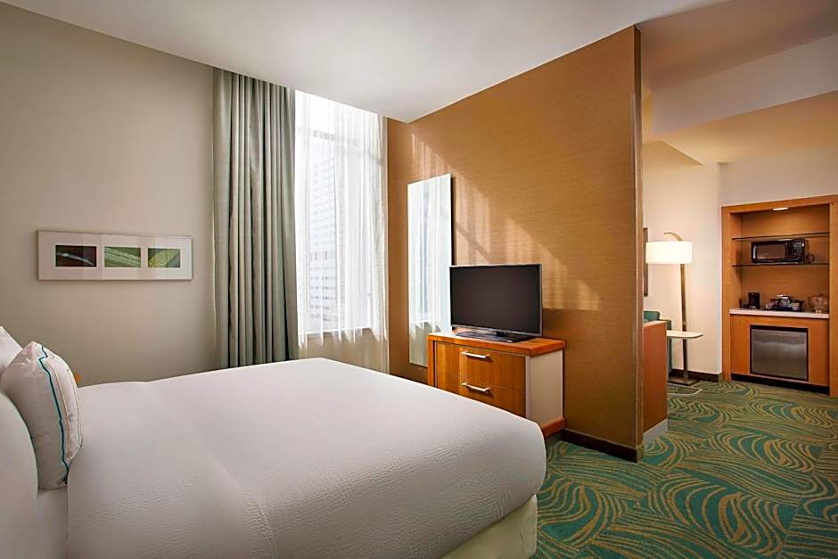SpringHill Suites by Marriott Houston Downtown/Convention Center