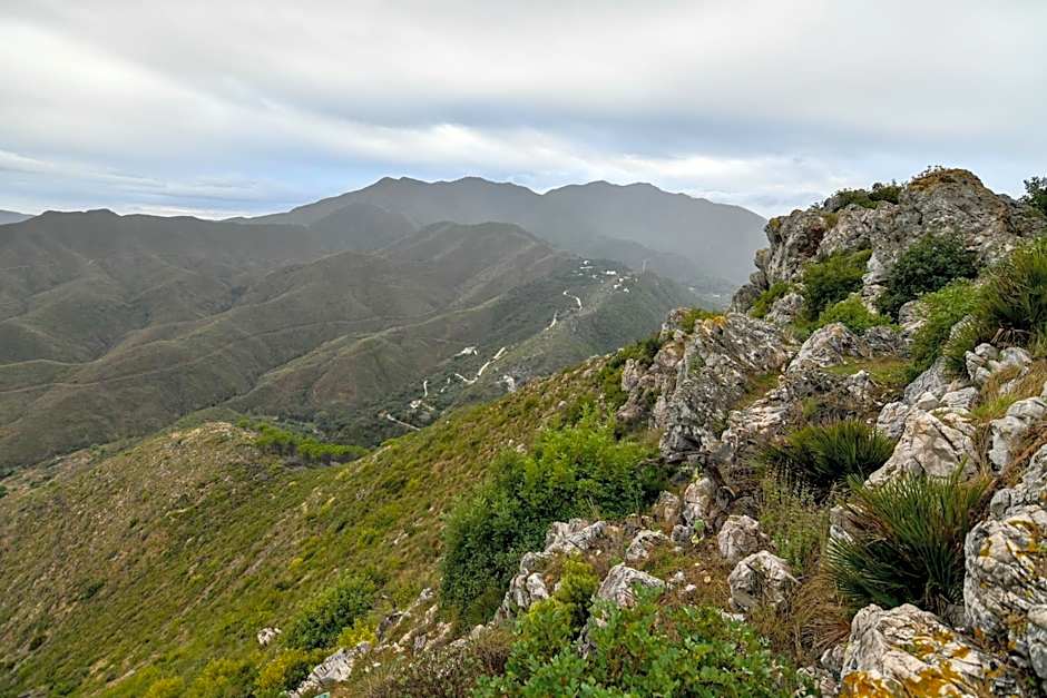 Tottam Art & Healthy Garden