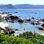 Bosky Dell on Boulders Beach
