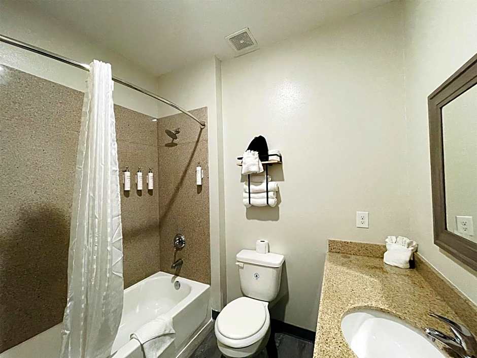 Sonesta Essential Hotel Houston - I-45 Spring