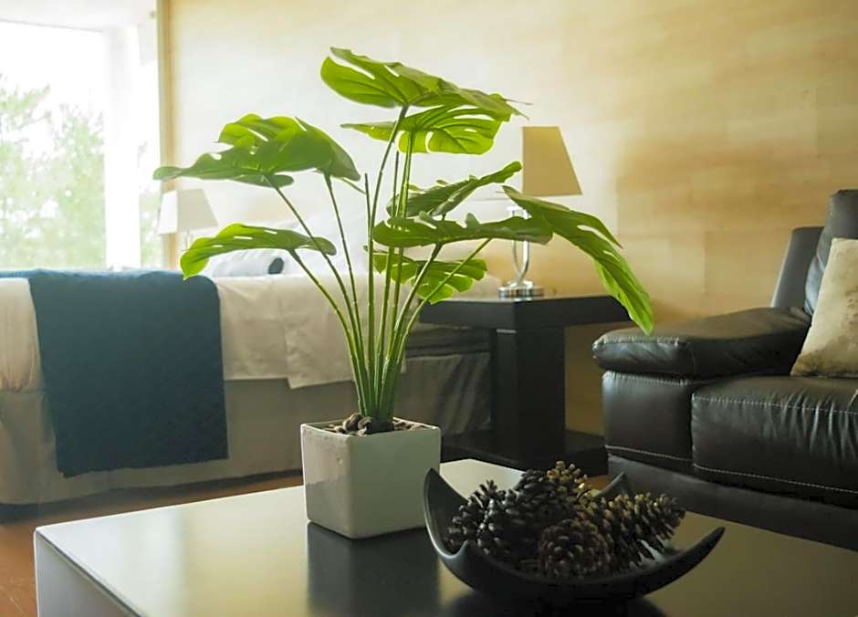 Giakor Suites - Gran Jardín