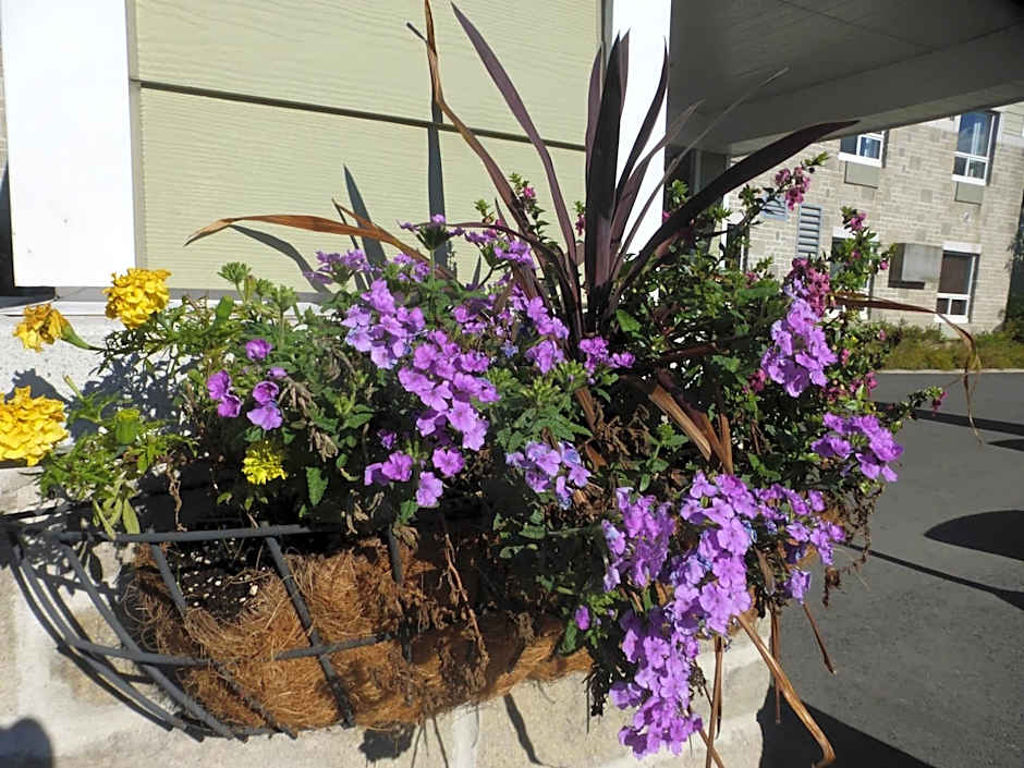 Super 8 by Wyndham Peterborough