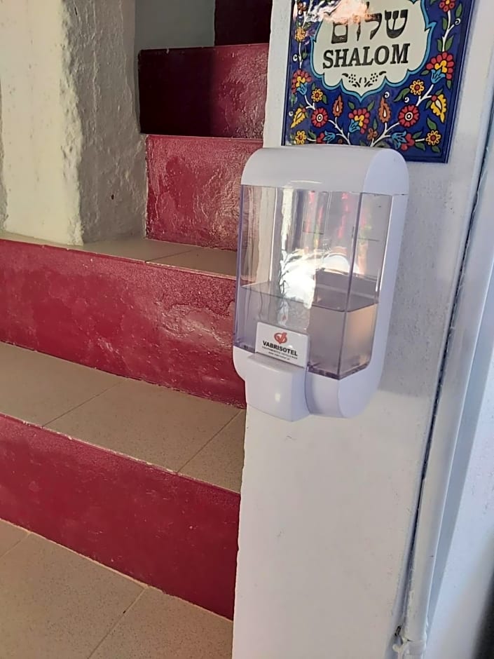 Branca Gonçalves Belmonte