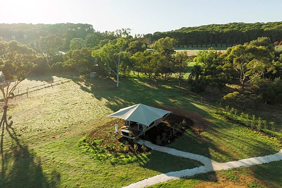 CANVS by CABN Seppeltsfield Barossa