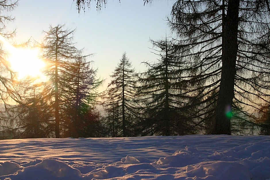 Panoramapension Etschblick