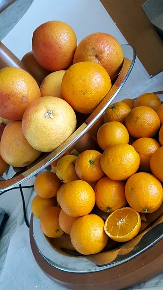 Hotel Baya - in centro, sul mare