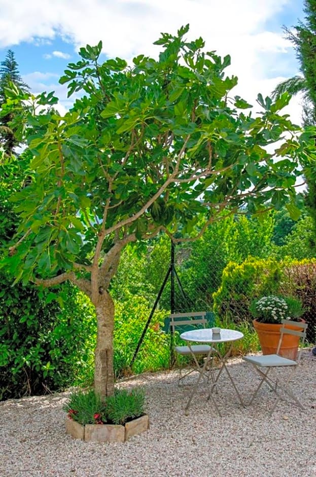 Calmancino delle Selve