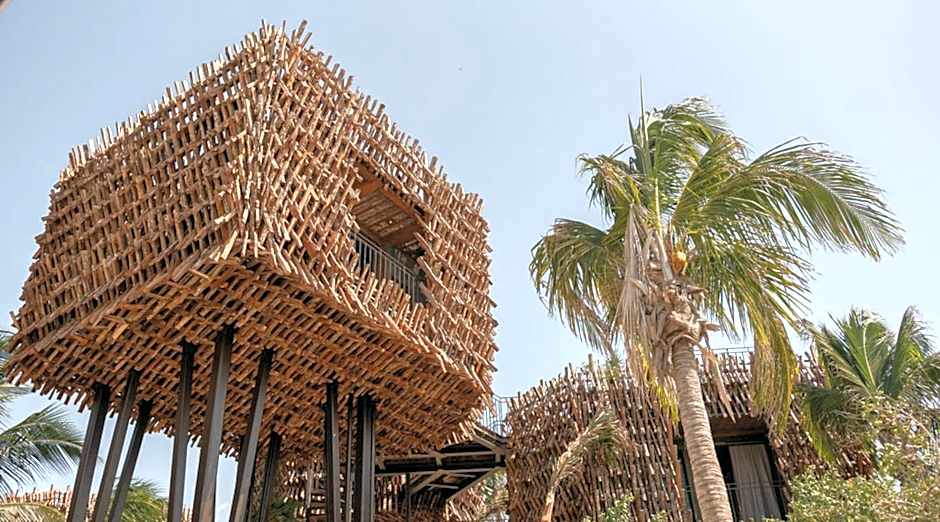 Nomade Holbox