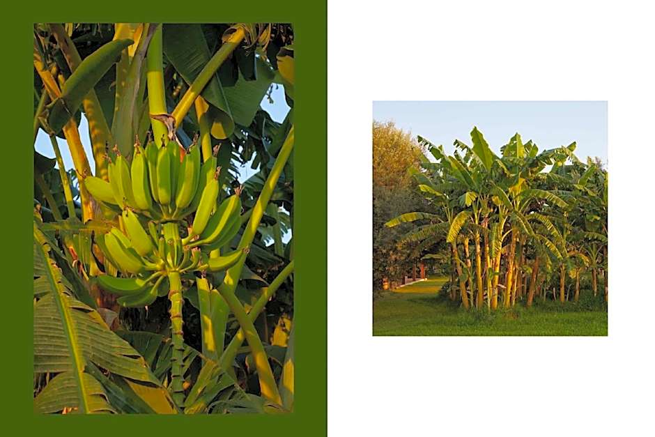 hiresicily - Casale della Pergola