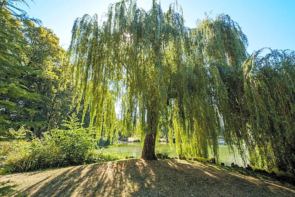 Residence Des Thermes