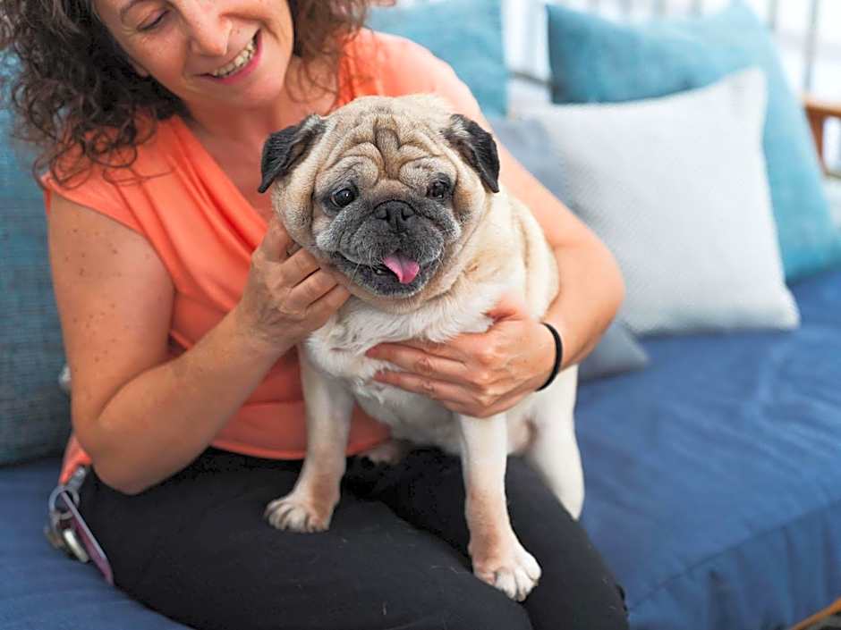 ibis Styles Barcelona City Bogatell