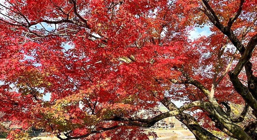 Rinn Gion Shirakawa