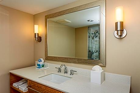 2 Queen Accessible Roll in Shower Sofa Bed