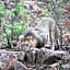 Morokolo Safari Lodge Self-catering