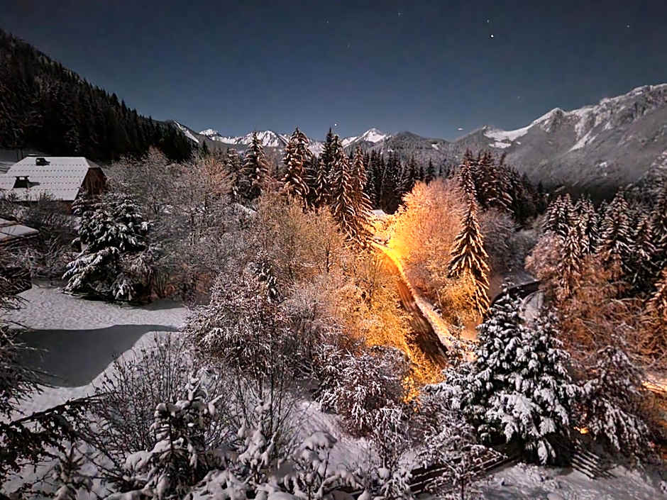 Alpine 1 bed Chalet with beautiful views
