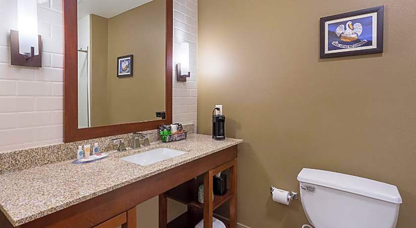 Comfort Inn & Suites Zachary