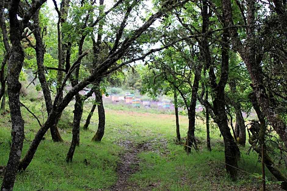 Quinta da Devesa -B2