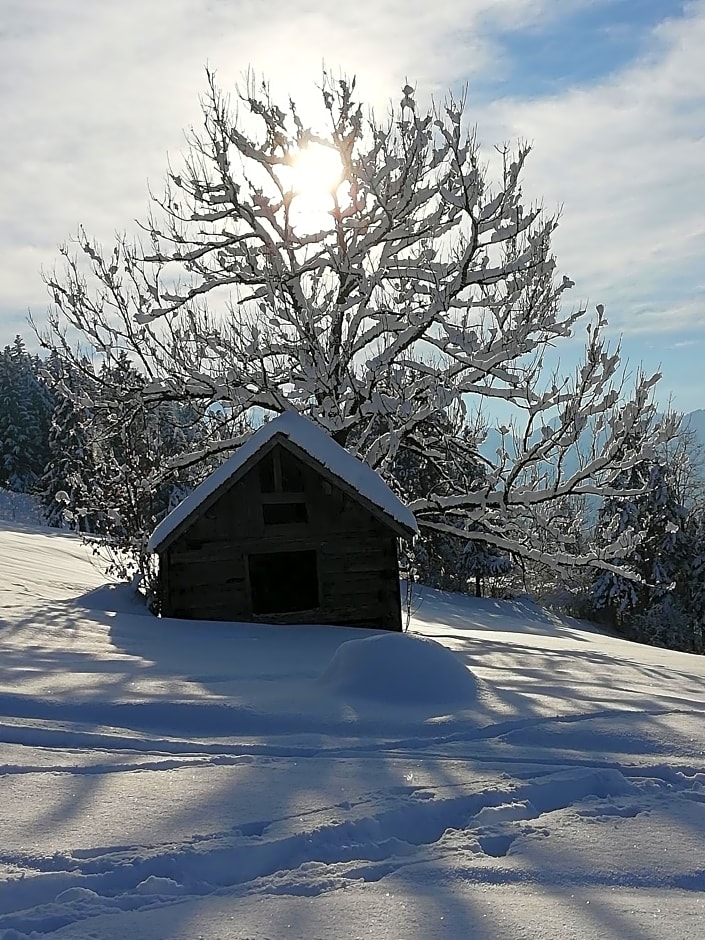 Ausblickhof Geiger