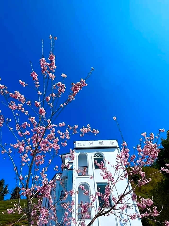 Alishan B&B YunMinGi