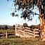The Cudgee at Mudgee