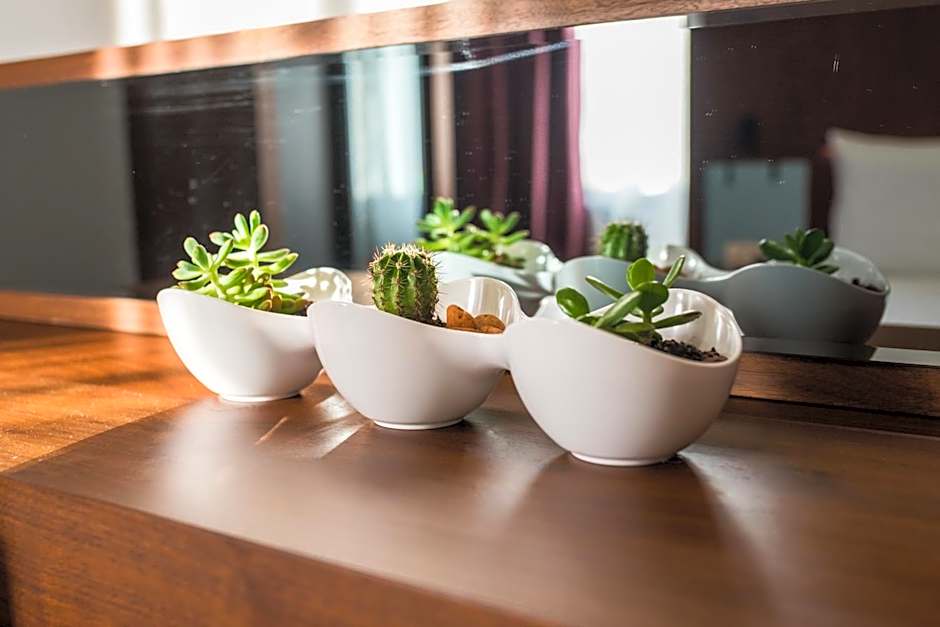 Hotel Bograd - Apartments & Lounge Station