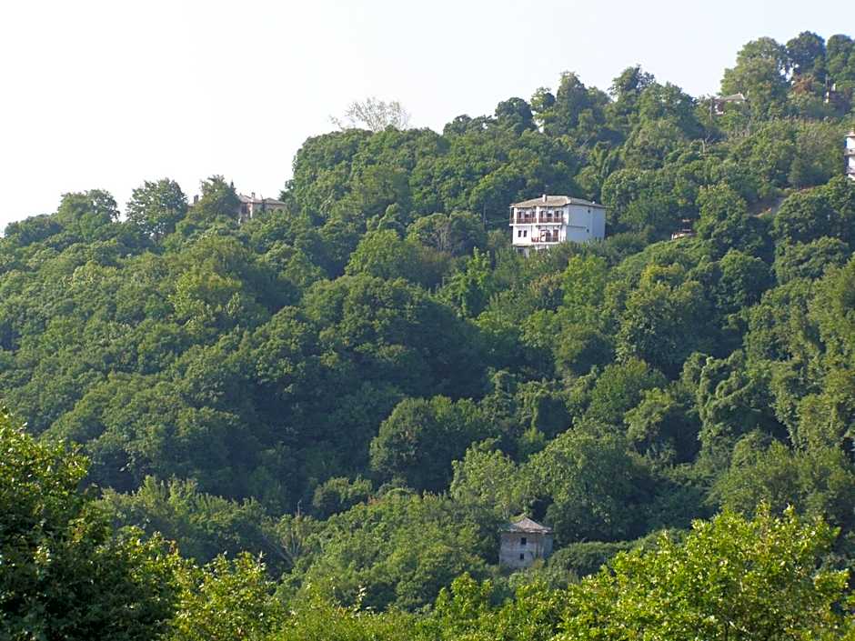 Hotel Tsagarada