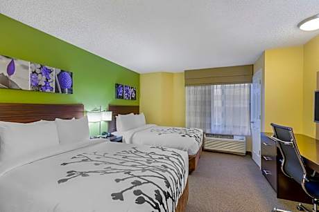 2 Double Beds, No-Smoking