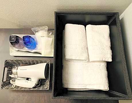 Double Room with Sky Tree View