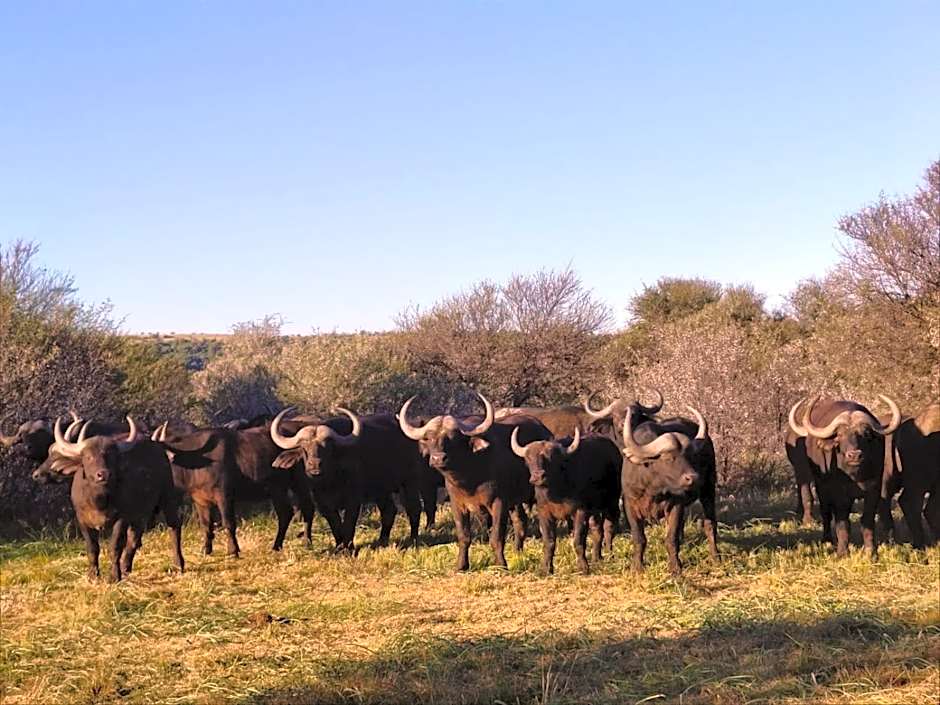 Weltevreden Game Lodge