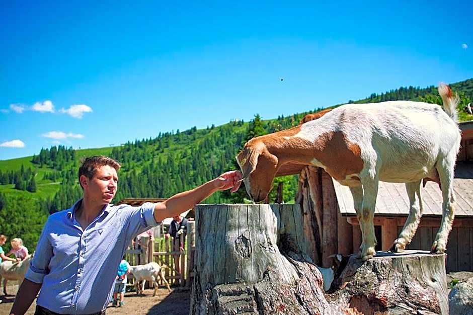 Gehwolfalm Berghotel