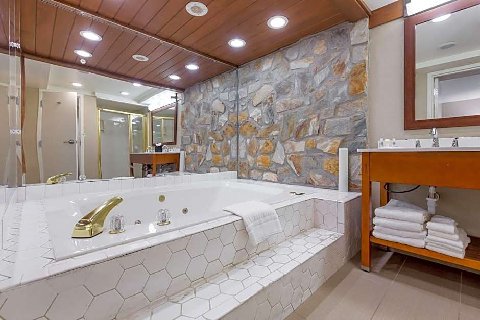 Comfort Inn University