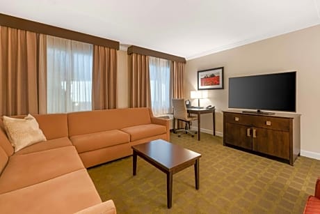 King Suite with Sofa Bed