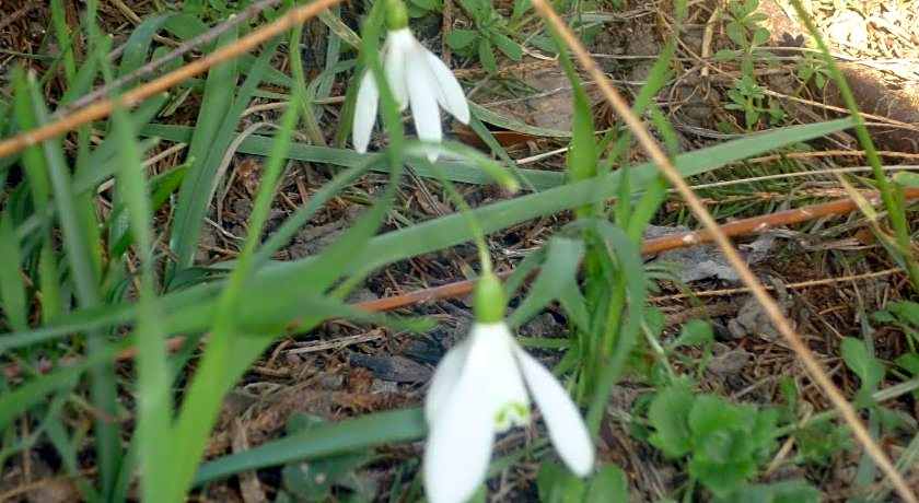 B&B Chambre Chante Cristal