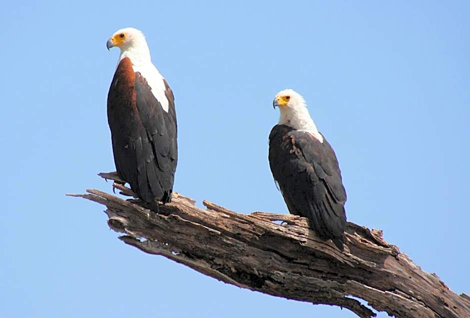 African Sunrise Lodge and Campsite