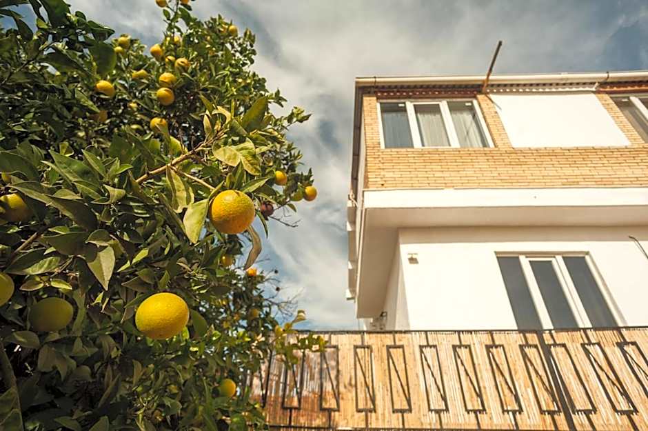 Orange Vibes Guest house