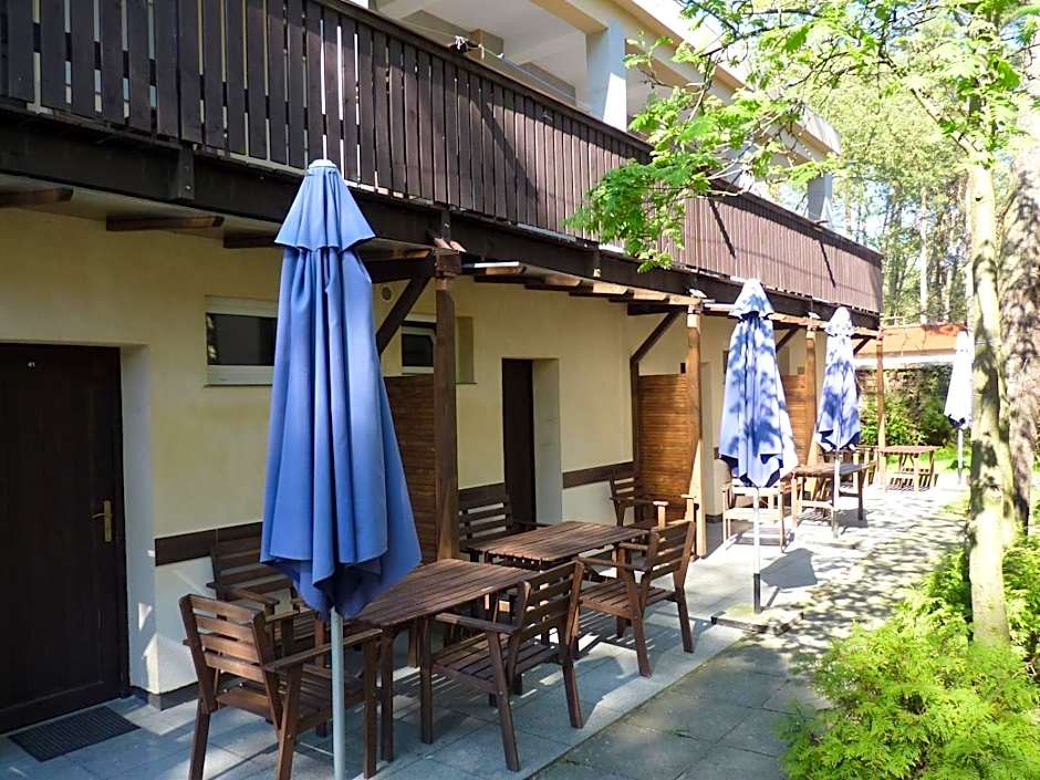 Ośrodek Wypoczynkowy W sosnowym lesie