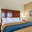 Comfort Inn Edwardsville - St. Louis
