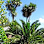 Pennylane Guest House