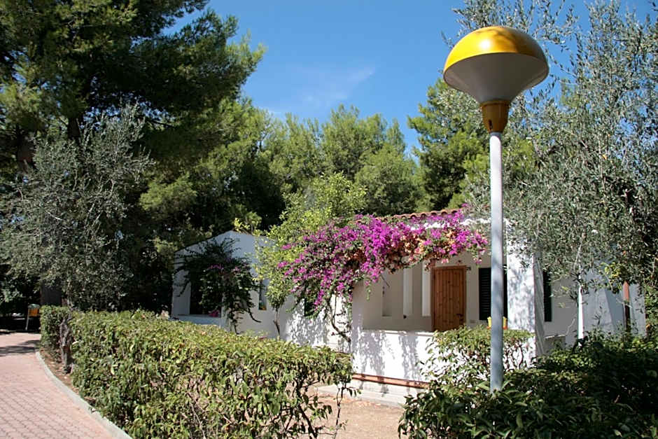 Villaggio Turistico Residence Delfino